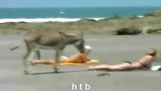 Biseksualac porno je ...